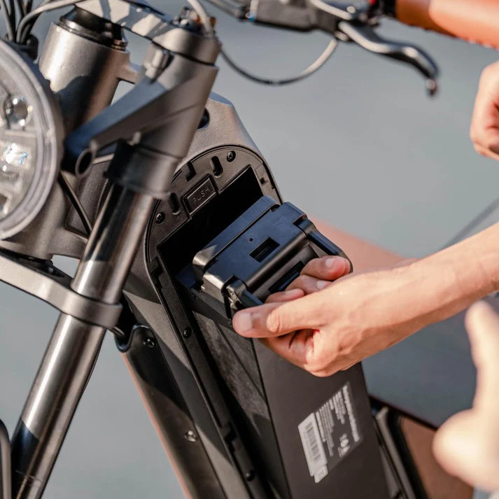 Benzina Zero Area51 Electric Bike - Image 8