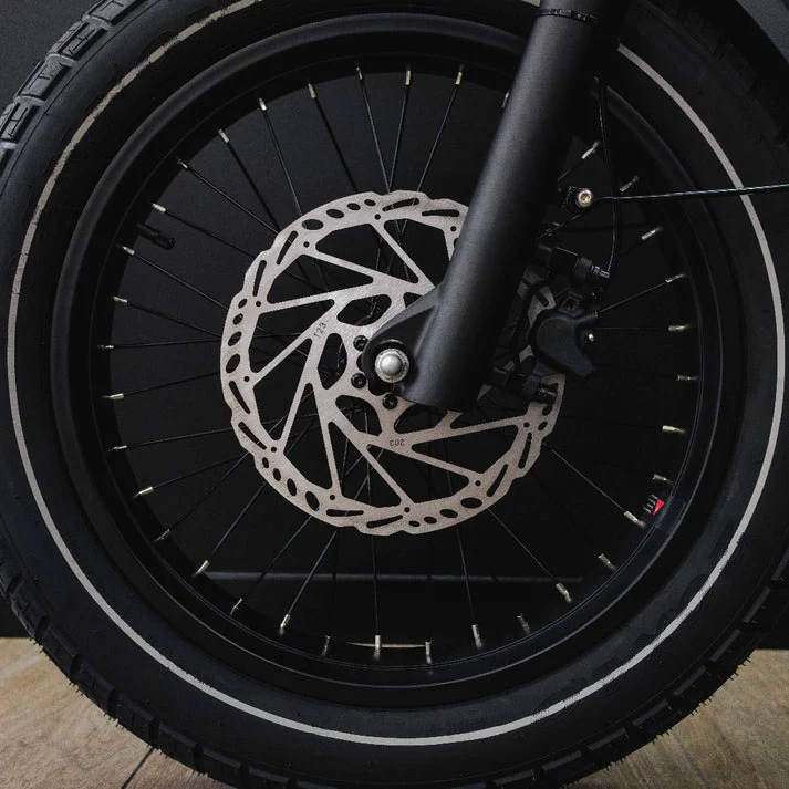 Benzina Zero HAULeR Electric Bike - Image 10