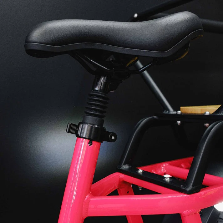 Benzina Zero HAULeR Electric Bike - Image 12