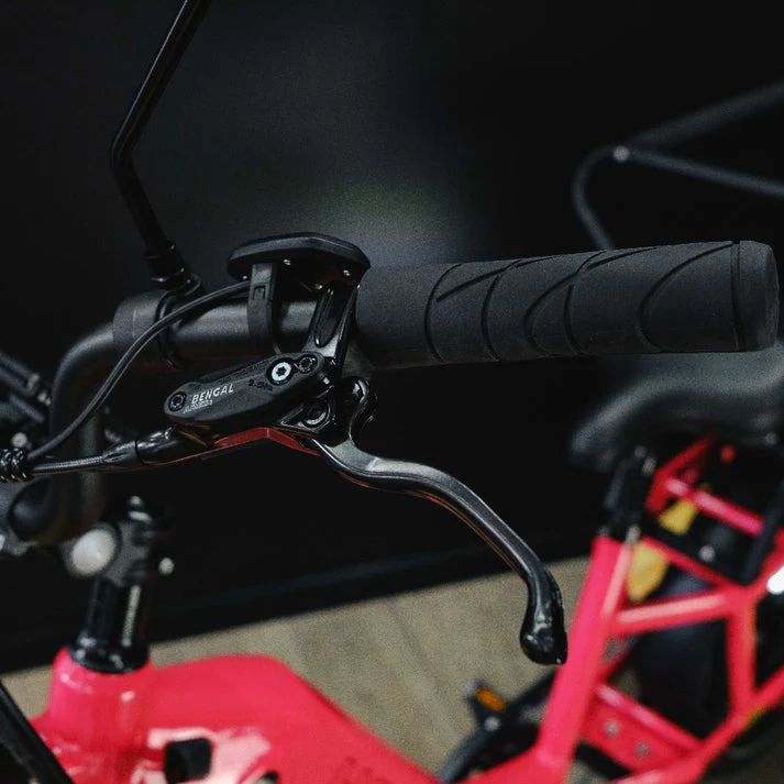 Benzina Zero HAULeR Electric Bike - Image 14