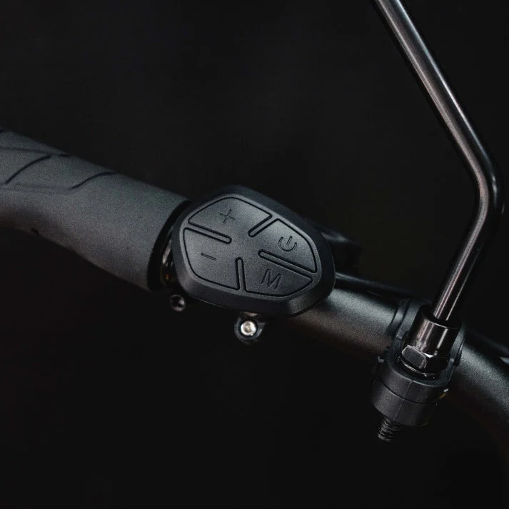 Benzina Zero HAULeR Electric Bike - Image 16
