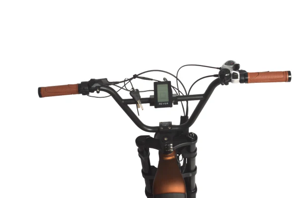 Rever Safari Vintage Bike - Image 10