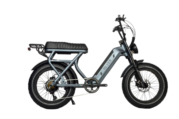 Rever Safari Vintage Bike - Image 2