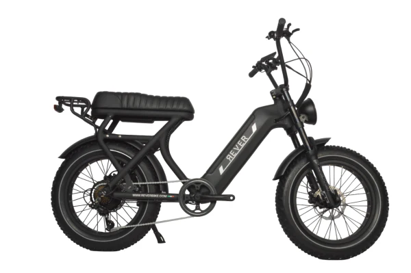 Rever Safari Vintage Bike - Image 3