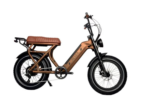 Rever Safari Vintage Bike - Image 5