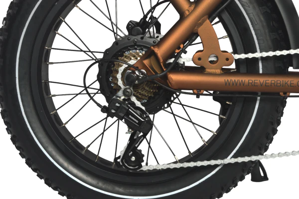 Rever Safari Vintage Bike - Image 8