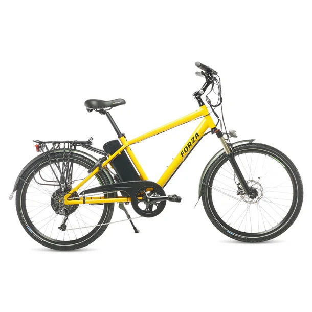 Ryder Forza GTS - Hybrid - Image 3