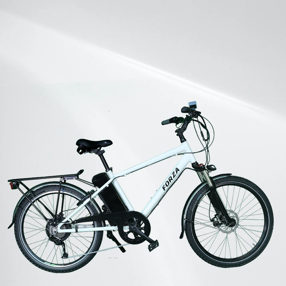 Ryder Forza GTS - Hybrid - Image 9