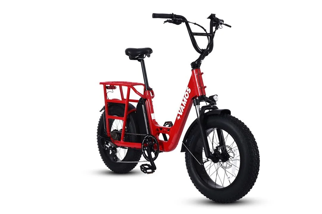 Vamos El Amigo Cargo Electric City Bike - Image 3
