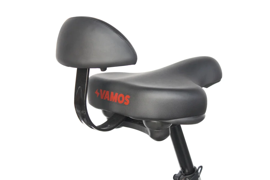 Vamos Papa Grande Pro 2026 - 3 Wheel Electric Trike Bike - Image 6